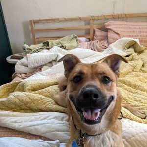 Meet your Posher, Tyler